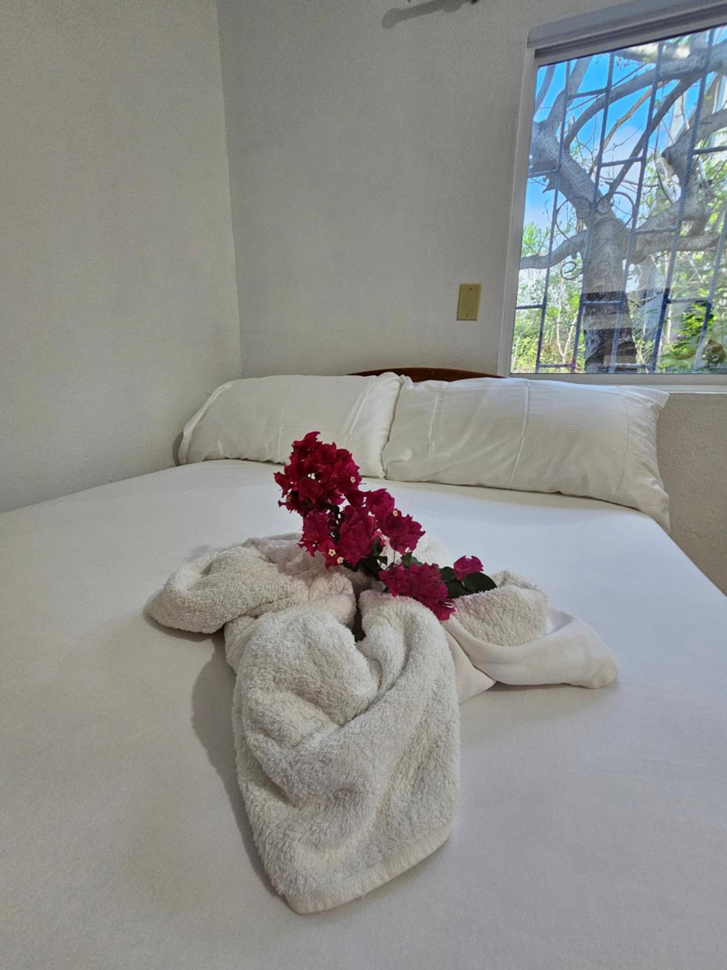Lovely Inn San Cristóbal 外观 照片